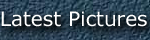 Latest Pictures